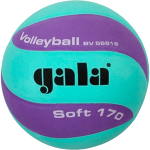 Мяч волейбольный Gala Soft 170 №5 Green-Purple (BV5681SCF) в Житомире