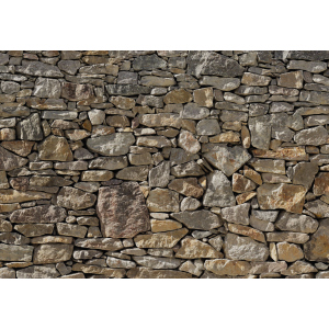 Фотообои бумажные Komar Stone Wall (Каменная стена) 368х254 см (8-727) лучшая модель в Житомире