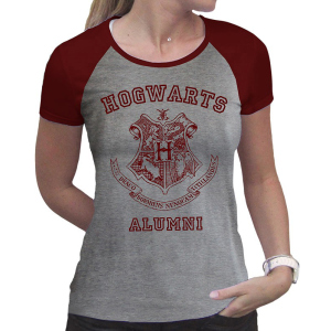 Футболка ABYstyle Harry Potter XL Сіра (ABYTEX503XL) ТОП в Житомирі