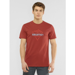 Футболка Salomon Blend Logo Tee M LC1408500 S Коричнева (0193128345792) в Житомирі