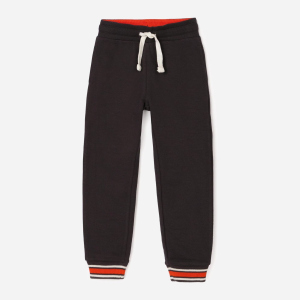 купити Спортивні штани утеплені Zippy Fleece Pants Nine 3103310001 118 см Darkgrey6 (5602156886702)