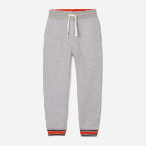 Спортивні штани утеплені Zippy Fleece Pants Nine 3103310001 118 см Lightgrey4 (5602156886894) краща модель в Житомирі