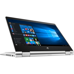 Ноутбук HP ProBook x360 435 G7 (175X4EA) Pike Silver в Житомире