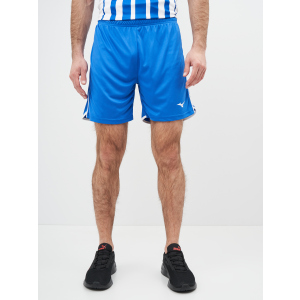 Спортивні шорти Mizuno High-Kyu Short V2EB700122 L (5054698344941) в Житомирі