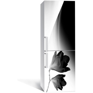 Виниловая 3D наклейка на холодильник Zatarga Минимализм и магнолия 650х2000 мм (Z180948re) лучшая модель в Житомире