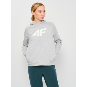 Худі 4F H4L21-BLD023-27M XL Cold Light Grey Melange (5903609069575) в Житомирі