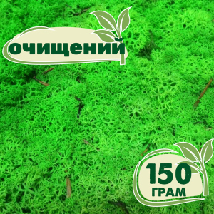 Очищений стабілізований мох ягель Nordic moss Зелений трав'яний світлий 150 грам ТОП в Житомирі