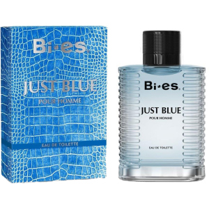 Туалетна вода для чоловіків Bi-es Just Blue Men Versace - Eau de Fraiche 100 мл (5902734841902) в Житомирі