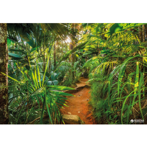 Фотообои бумажные Komar Jungle Trail 368х254 см 8 сегментов (8-989) в Житомире