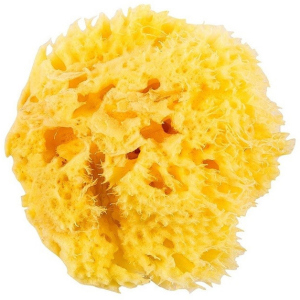 Натуральна морська губка Ok Baby Honeycomb Sea Sponge розмір 12 (38471200) в Житомирі