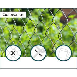 Сітка Рабиця оцинкована Сітка Захід 60х60/3,0мм 1,5м/10м в Житомирі