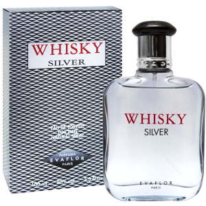 Туалетна вода для чоловіків Evaflor Whisky Silver 100 мл (ROZ6400103884) ТОП в Житомирі