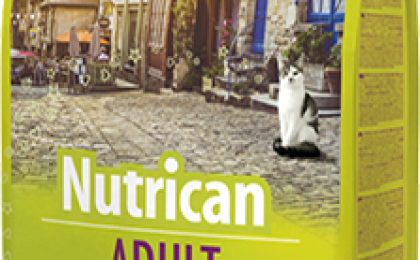 Качественные Корма для кошек в Житомире - рейтинг